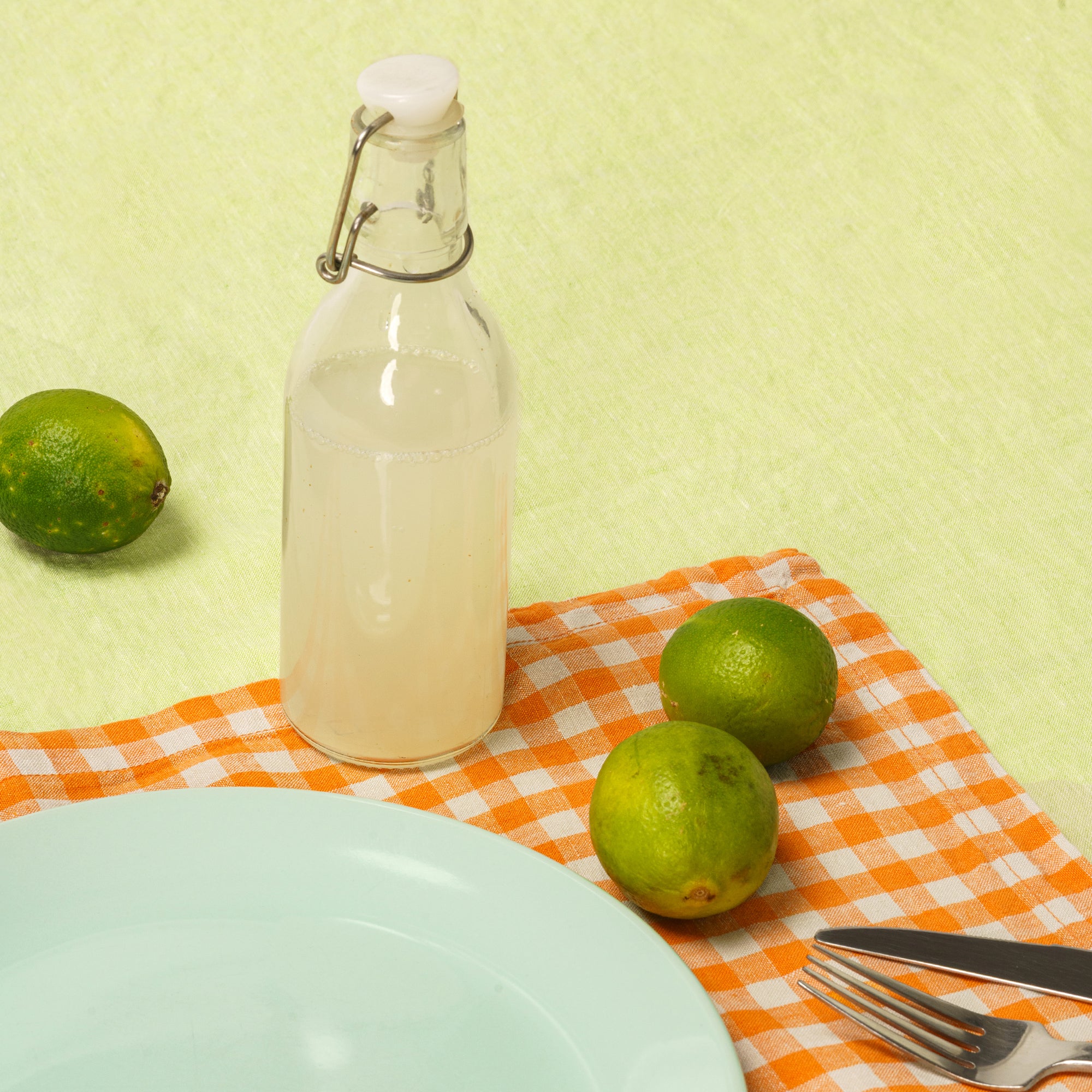 Placemats (Orange Gingham)
